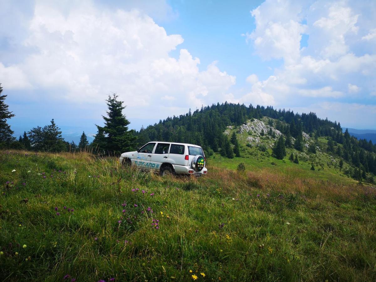 Zlatarske Brvnare Zlatar Chalets Nova Varoš エクステリア 写真