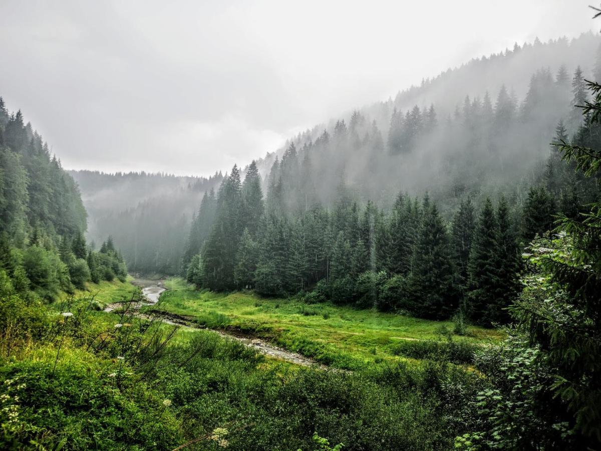 Zlatarske Brvnare Zlatar Chalets Nova Varoš エクステリア 写真