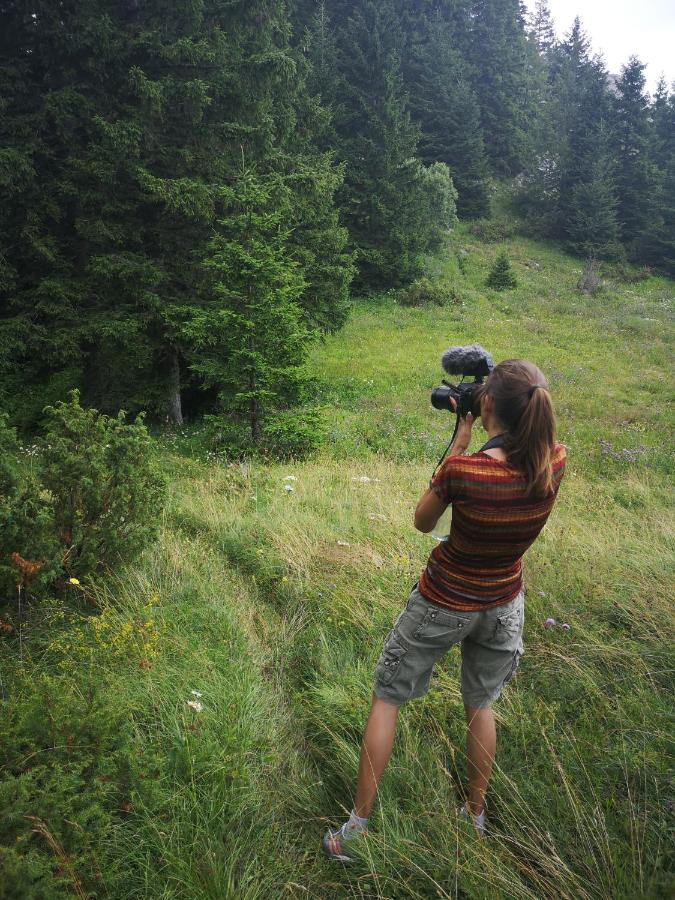 Zlatarske Brvnare Zlatar Chalets Nova Varoš エクステリア 写真