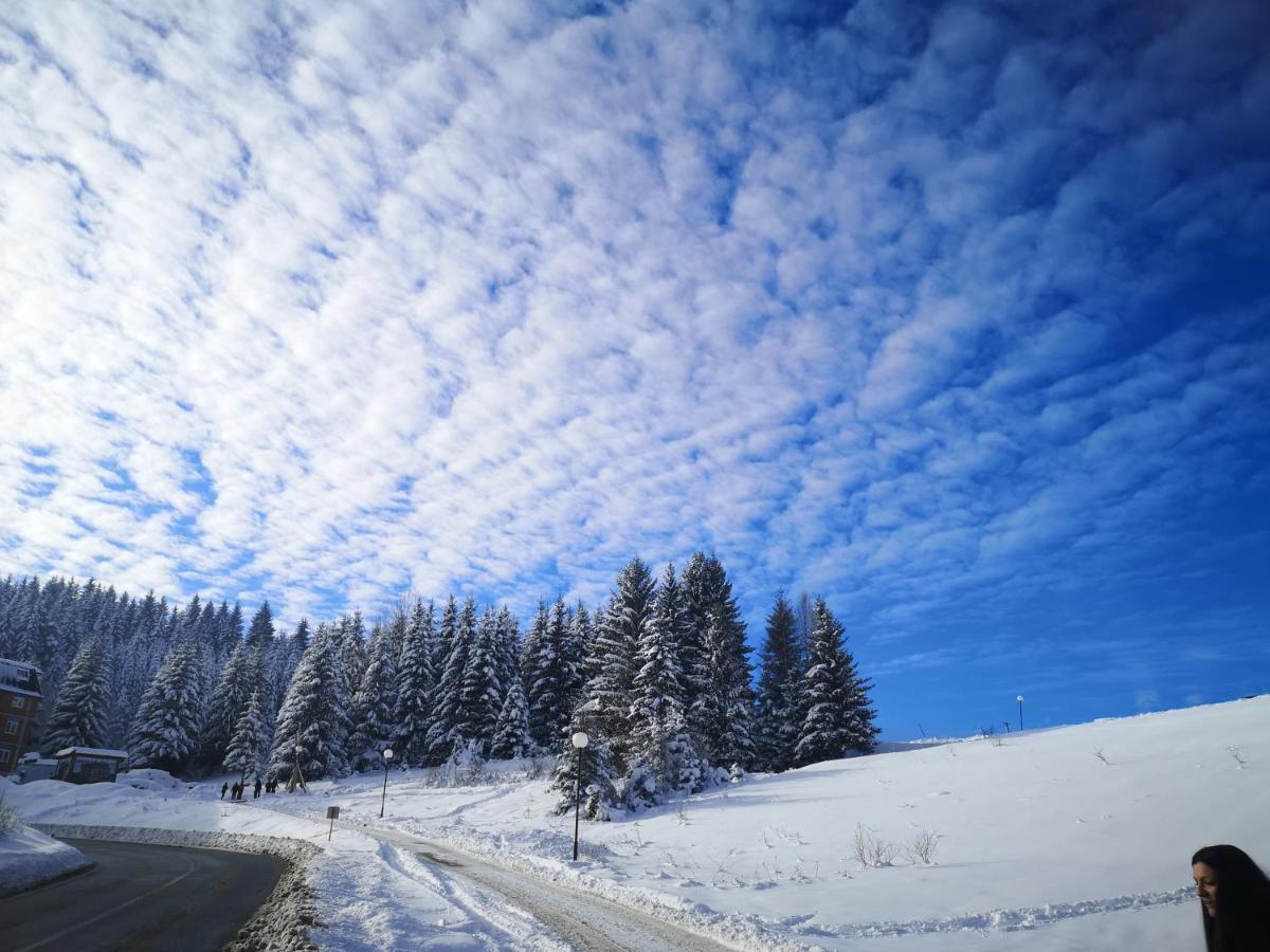 Zlatarske Brvnare Zlatar Chalets Nova Varoš エクステリア 写真